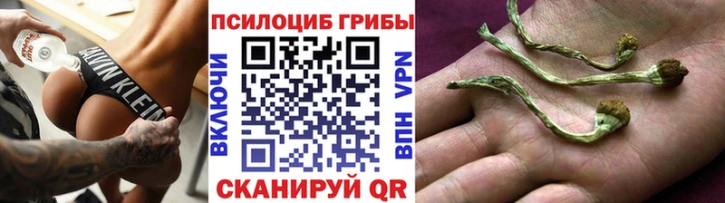 где можно купить   Агрыз  Галлюциногенные грибы GOLDEN TEACHER 