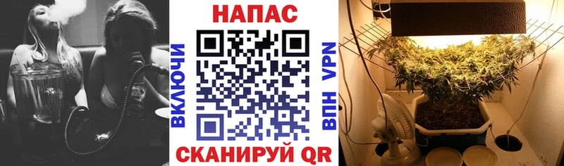 Бошки марихуана White Widow Агрыз